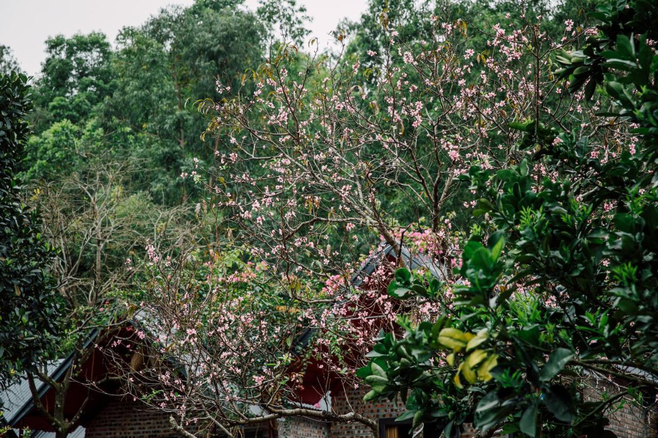 Cat Ba Spring Garden Homestay Hien Hao Exterior foto